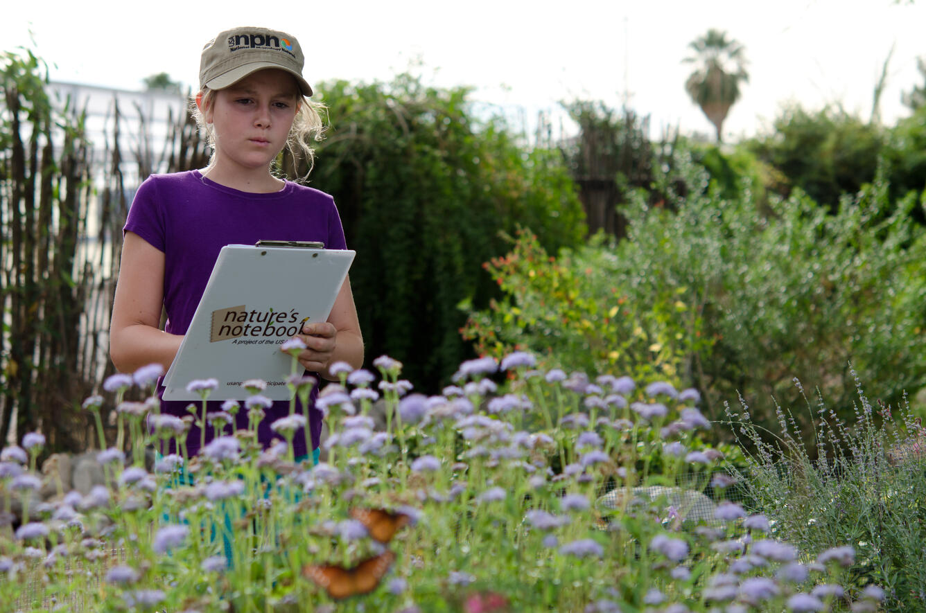 Girl doing observations for Nature's Notebook