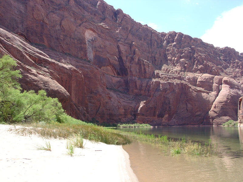 This is a photo of a restored beach in Glen Canyon.