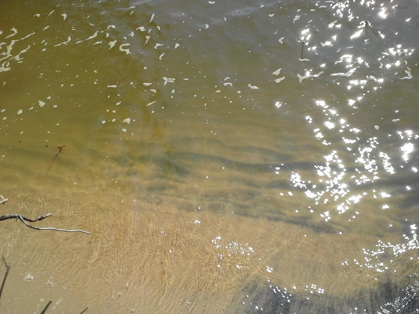 sand ripples