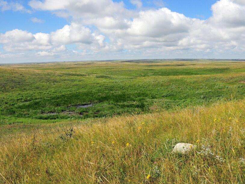 A green grassland spreads into the horizon and meets a partly cloudy sky