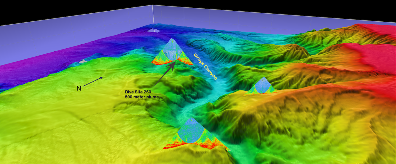 Image shows a bathymetric map of the seafloor with several flares superimposed on it