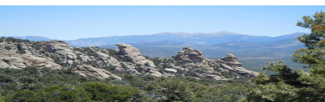 Great Basin Panorama with outcrop in foreground