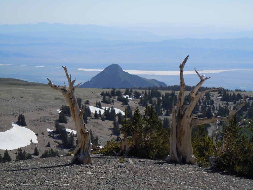 Photo showing the Great Basin area