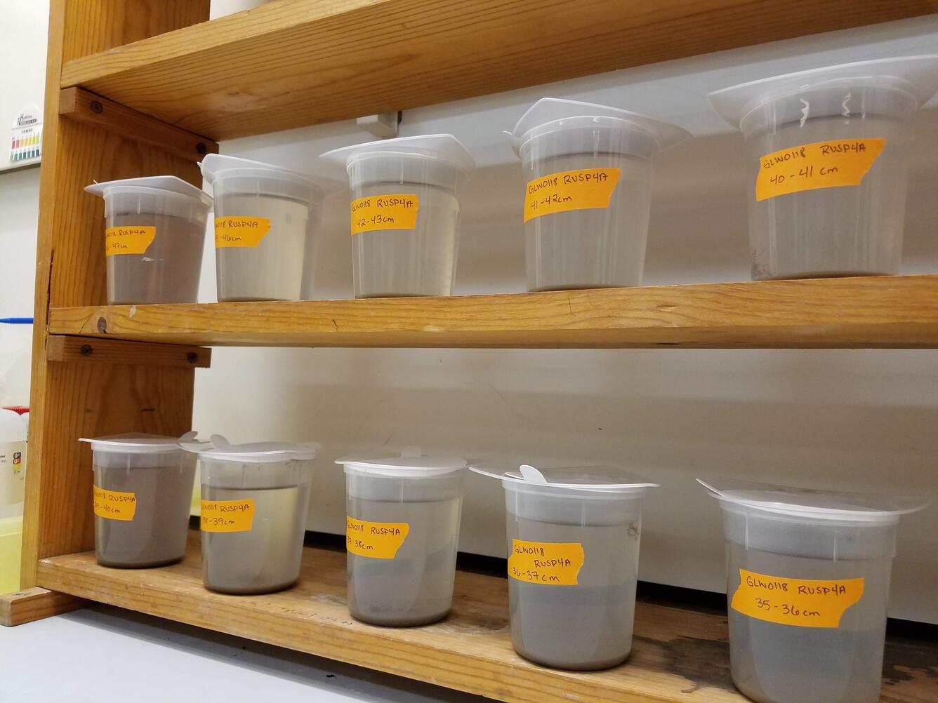 A group of samples in tripour beakers undergoing acid digestion in hydrochloic acid.  