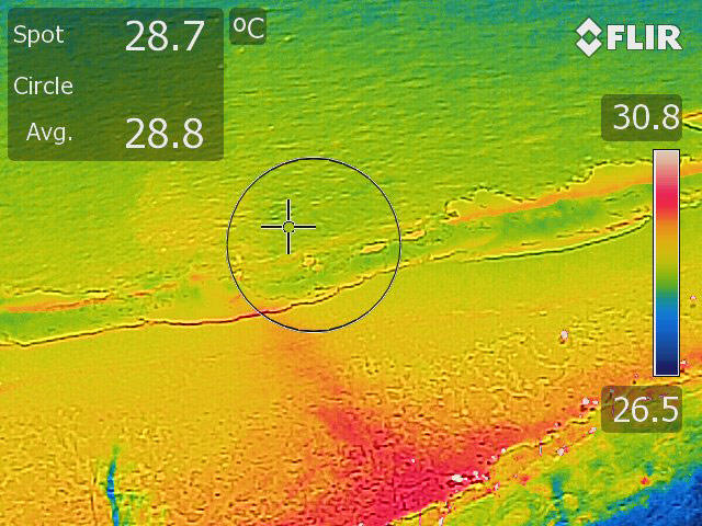 Thermal image indicates water temperature, where warmer temperatures are represented as red and cooler temperatures as blue.