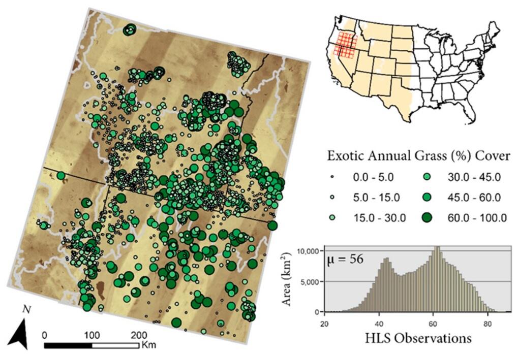 Graphic from scientific publication on near real time cheatgrass mapping in the Western U.S.