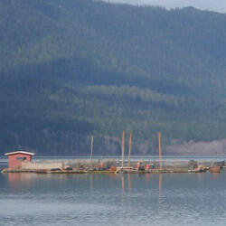 Photo of aquaculture net-pens