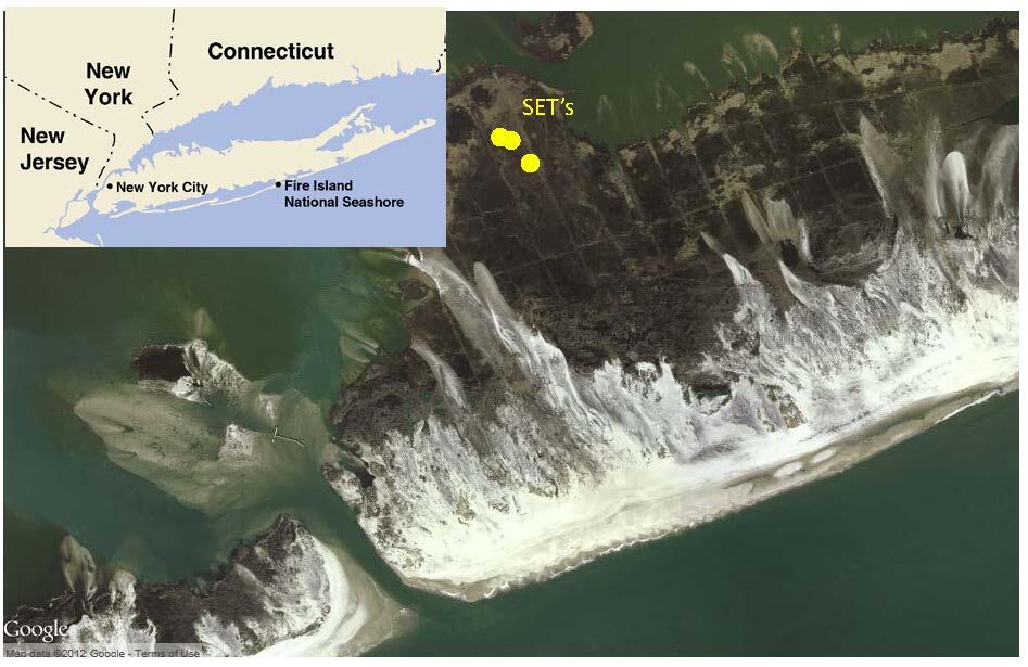 surface elevation table – marker horizon (SET – MH) station in a Jamaica Bay, NY salt marsh