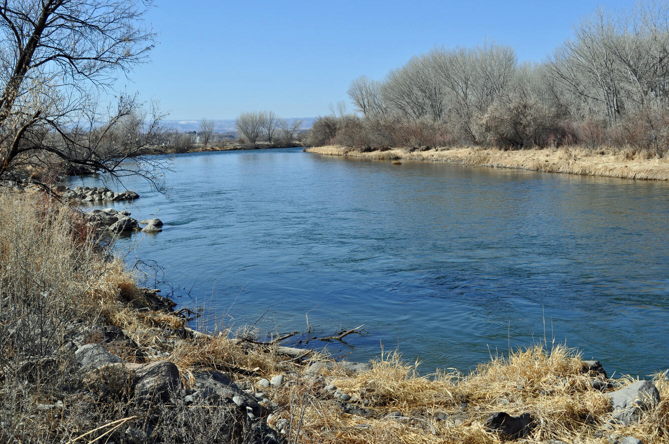 Gunnison River at the Hartland Dam near Delta, Colorado. Cross Section 5, Looking Downstream, from left hand bank 3 August 2012
