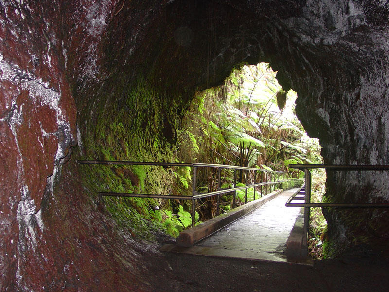 This is a photo of View looking out the south entrance to Thurston Lava Tube.