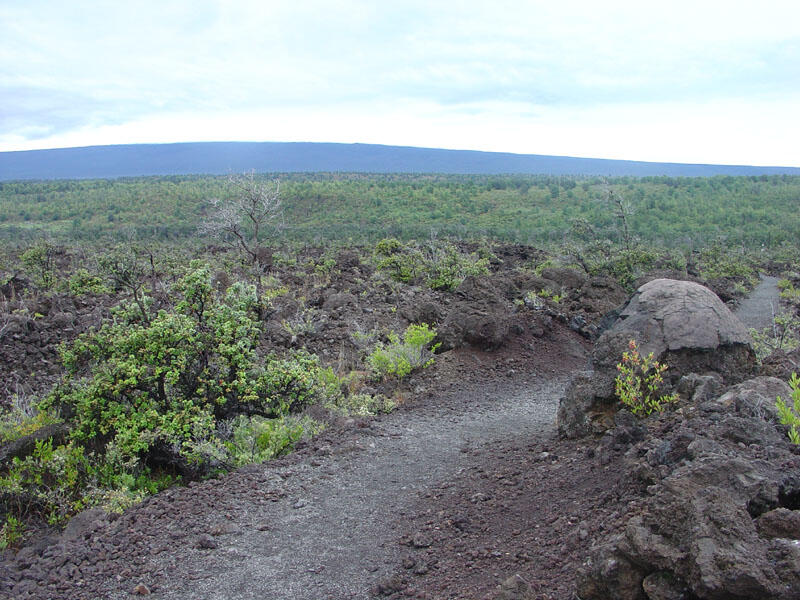 This is a photo of a view of Mauna Loa's summit. 