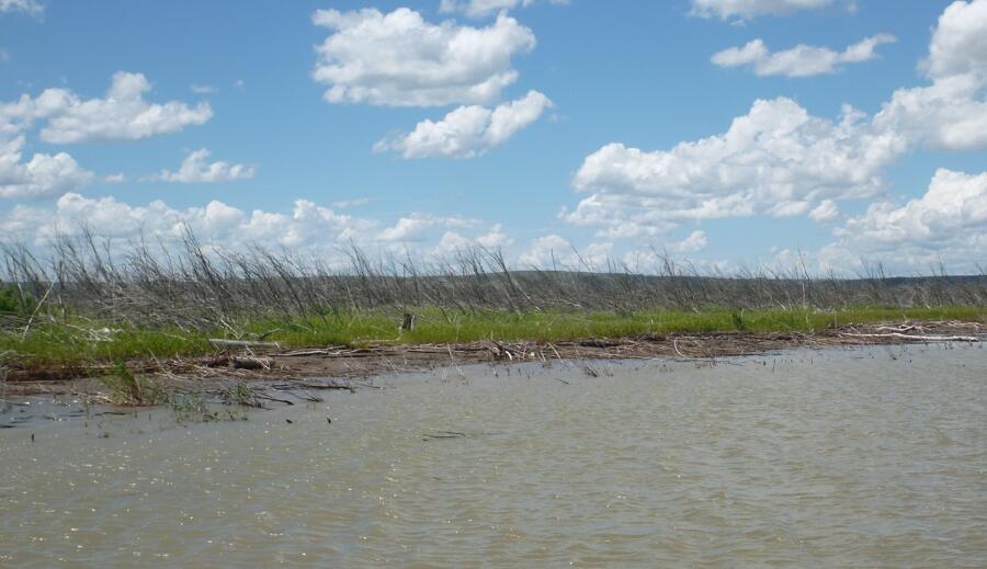 At the transition into Lake Sakakawea headwaters banks are replaced by wide mudflats and open water