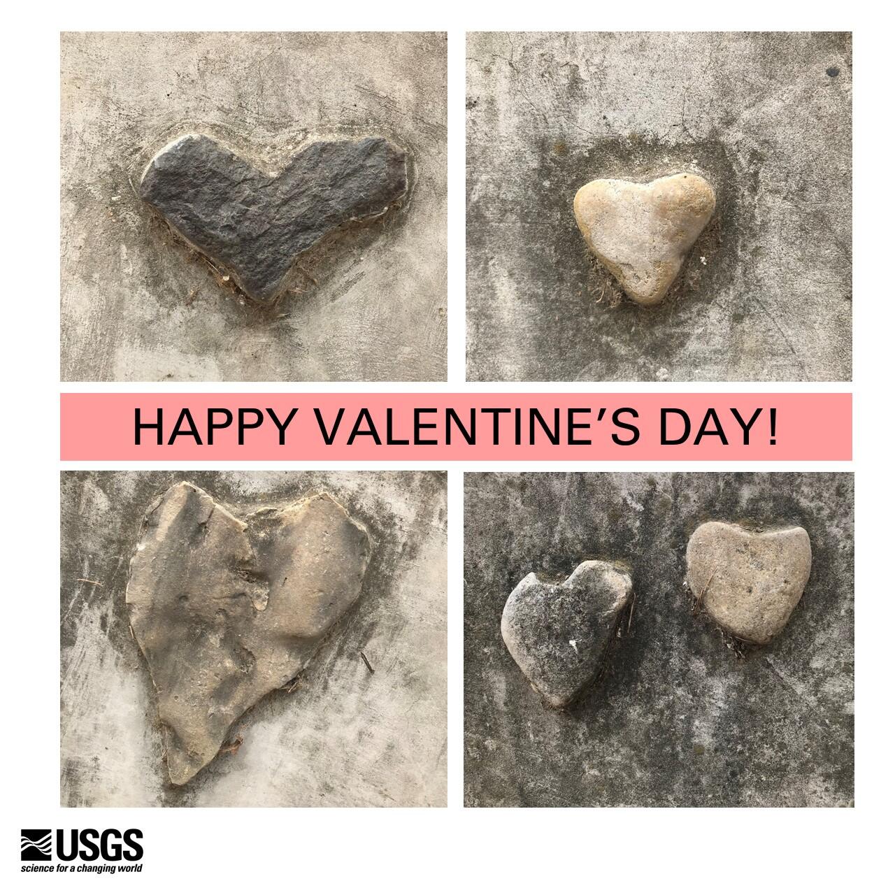 This image shows four photos of tan, brown, and gray colored heart-shaped pebbles and the text, "Happy Valentine's Day."