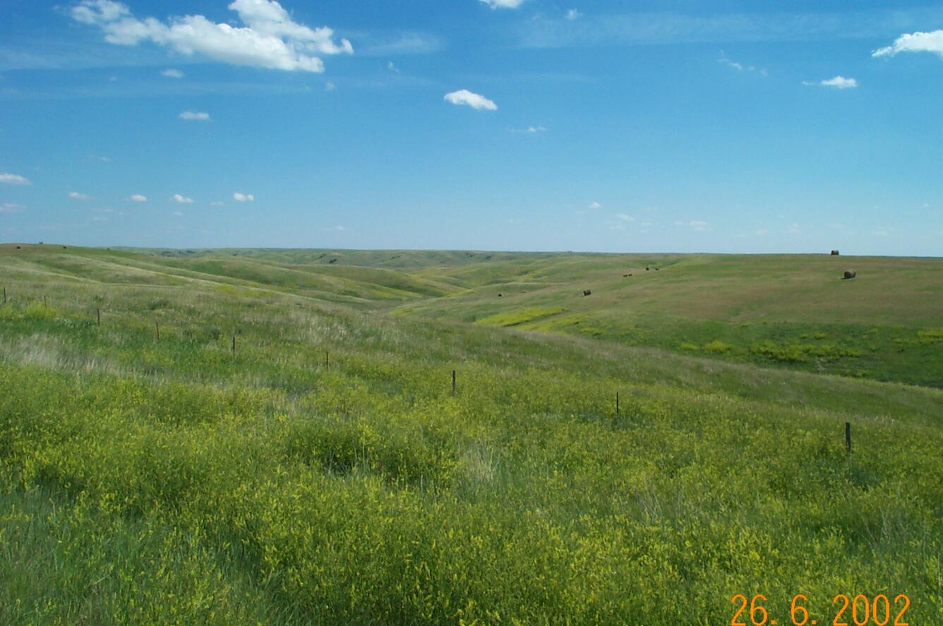 Photo of hilly grasslands 