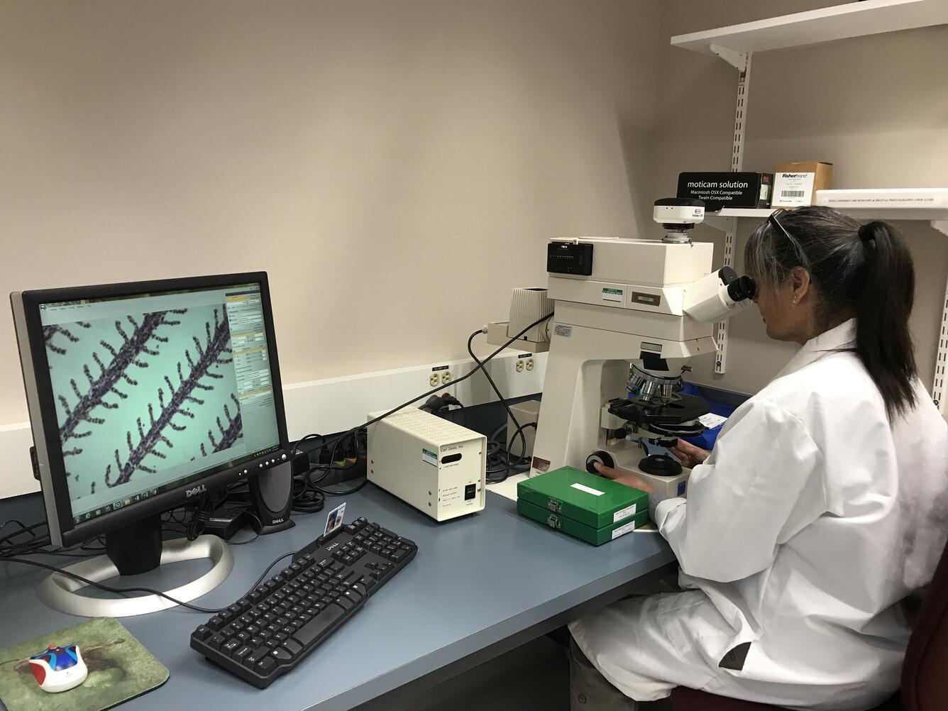 Histology Laboratory WFRC - Microscope