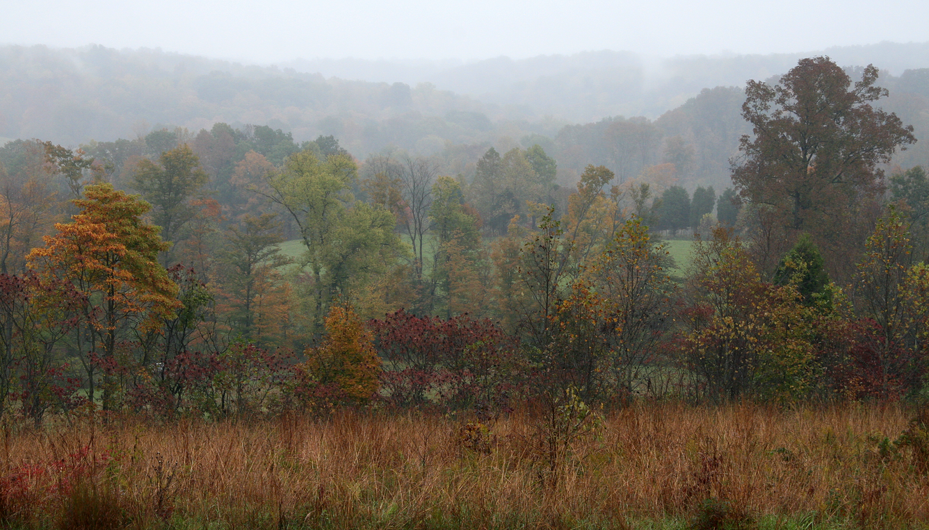 Hoosier National Forest 