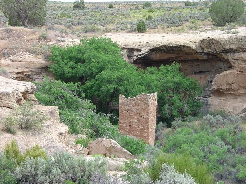 This is a photo of Square Tower and a cottonwood tree.
