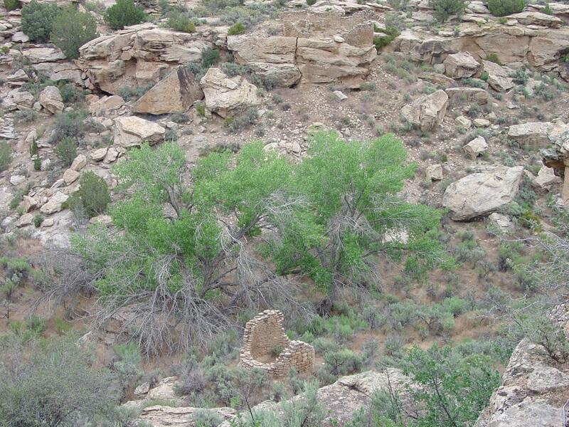 This is a photo of Cottonwood trees and Round Tower.