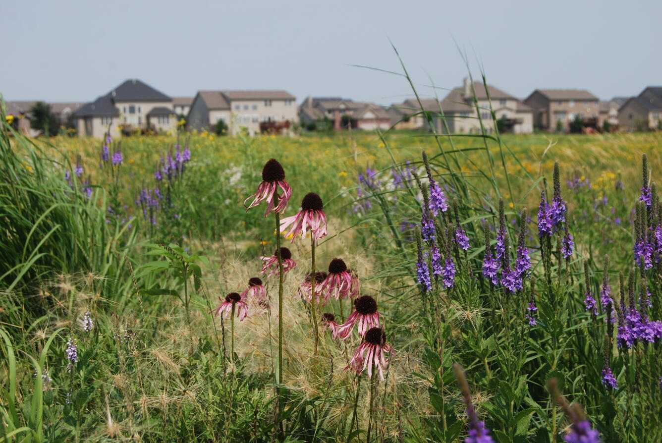 ILWSC_Urban_Encroachment