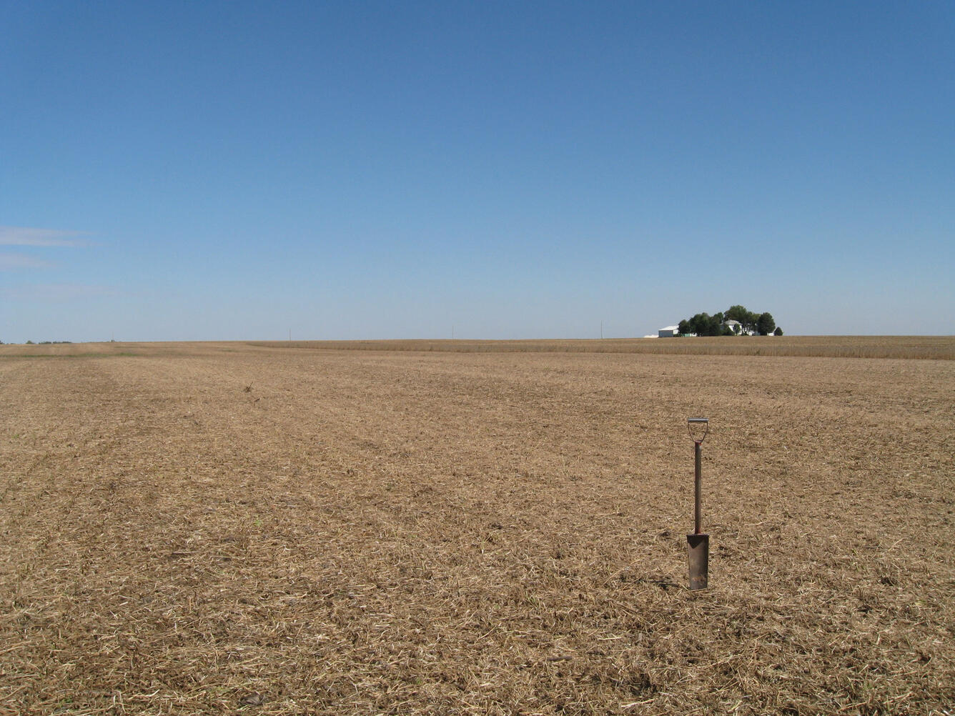 IL soil sample collection site