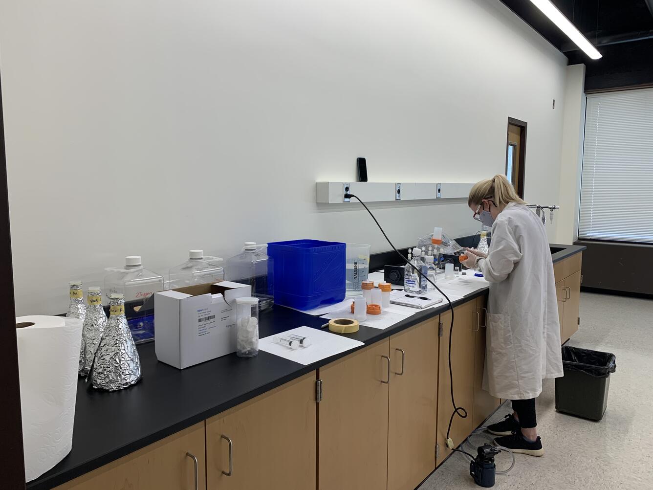 Female scientist working in laboratory