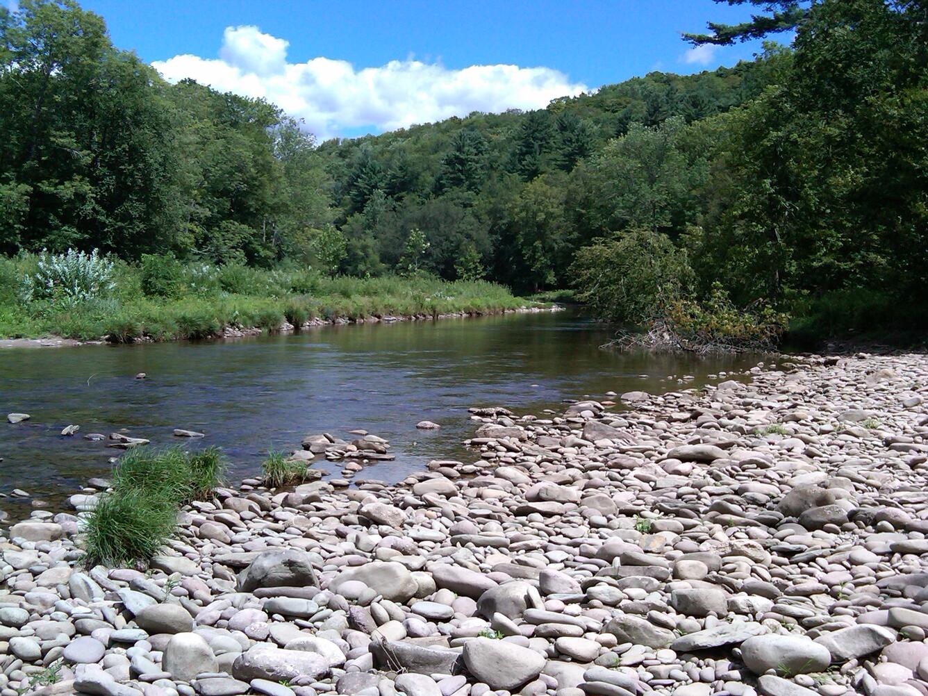 Neversink River near Claryville, New York