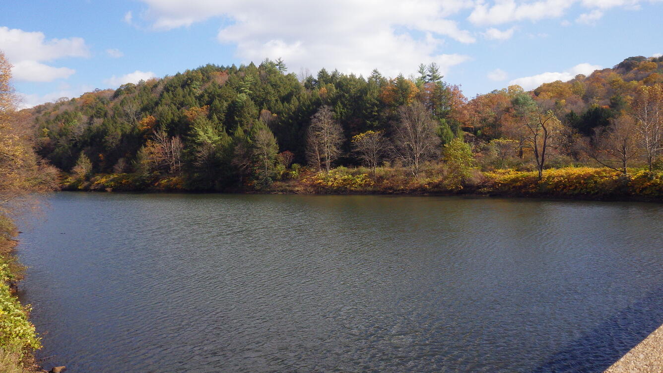 Lightly rippled Clarion River at Piney on an October day. The green of white pines stands in contrast to fall colors