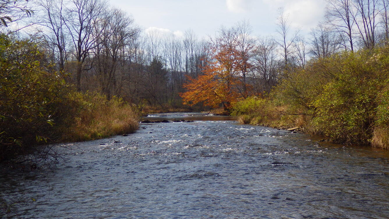 West Branch Pine Creek at Germania Station. Pools and riffles subtly alternate. Scattered cumulus clouds and a thin cirrus sky.