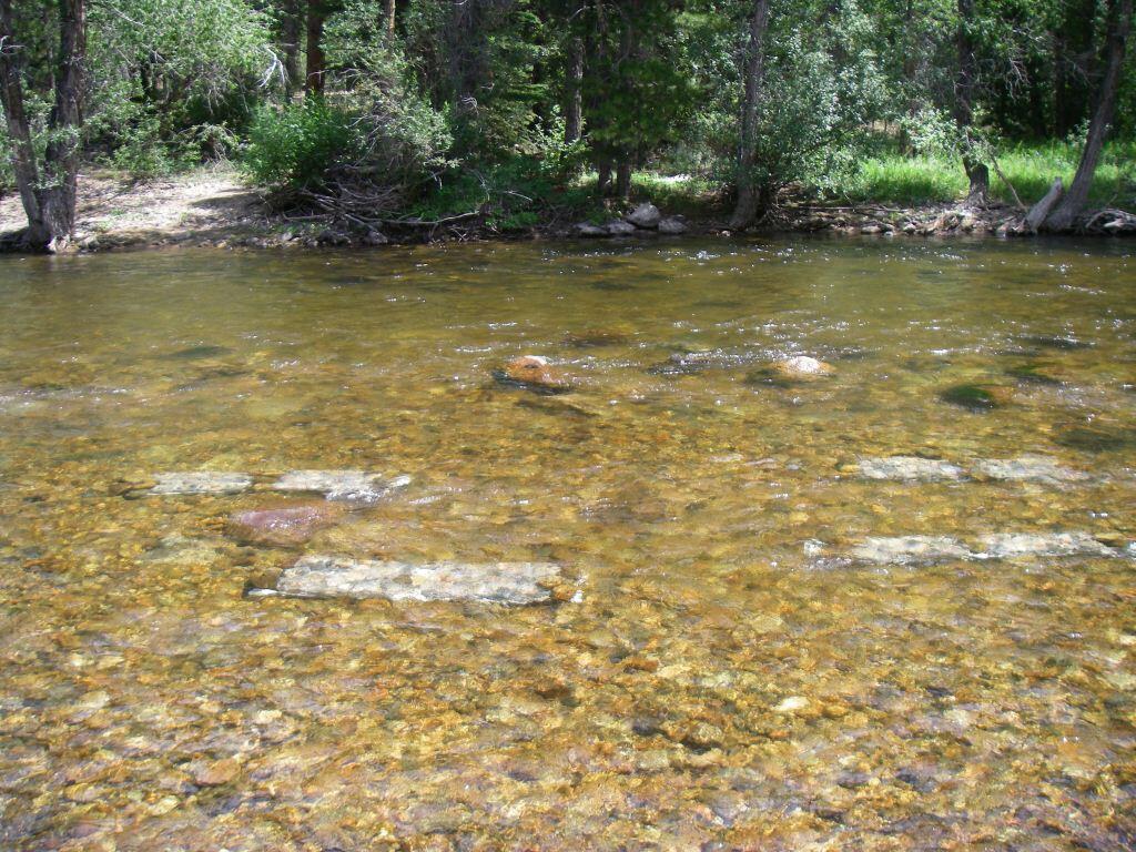 colonization trays in the river
