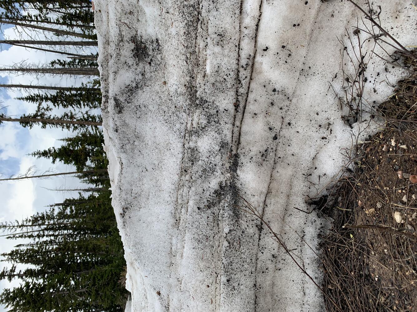 Cedar Breaks National Monument