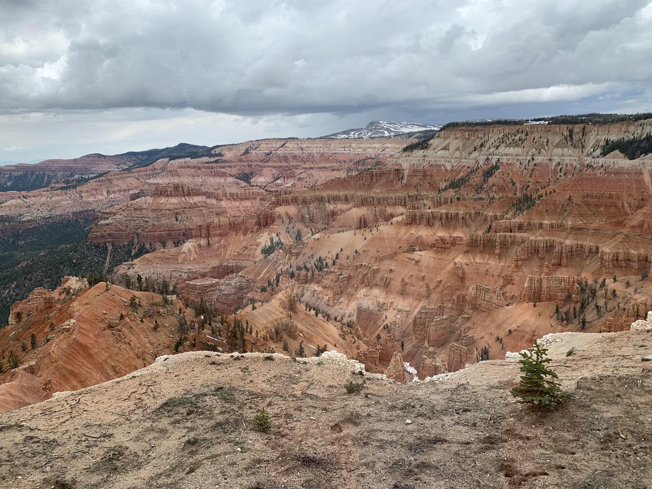 Cedar Breaks National Monument