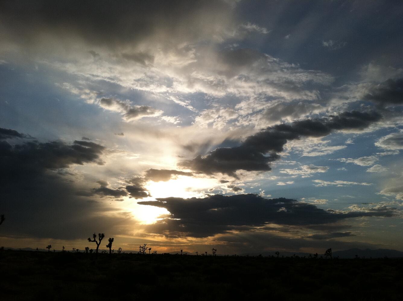 sun sets behind clouds over the silhouettes of Joshua trees
