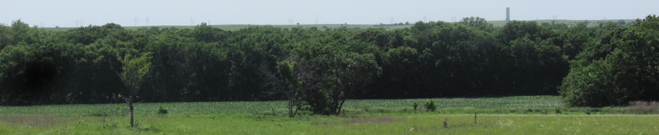 Jeffrey Energy Center Wildlife Area in Pottawatomie County, Kansas, a field is in the foreground and trees line the background.