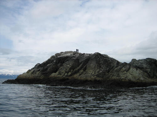 Researchers searching for sea otters