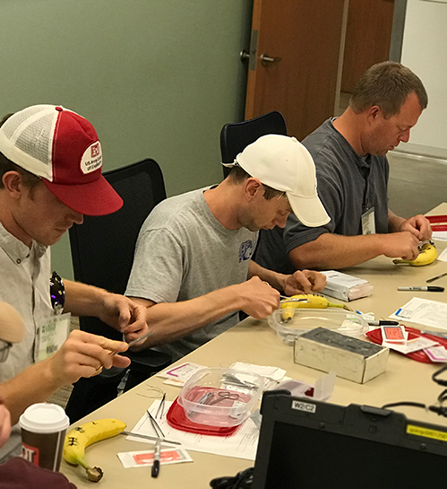 U.S. Army Corps of Engineers crews practice sutures on bananas during training