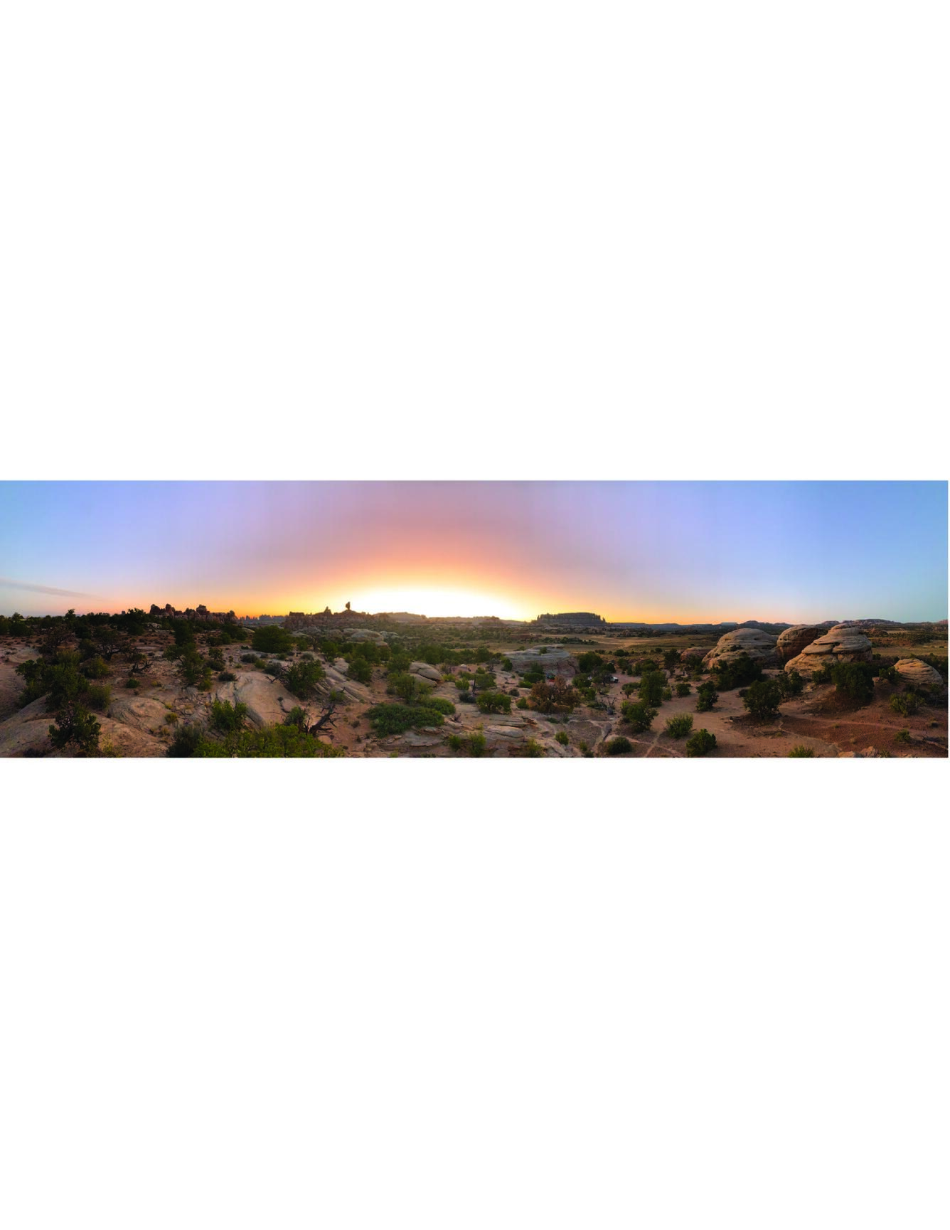Sunrise over dryland ecosystem