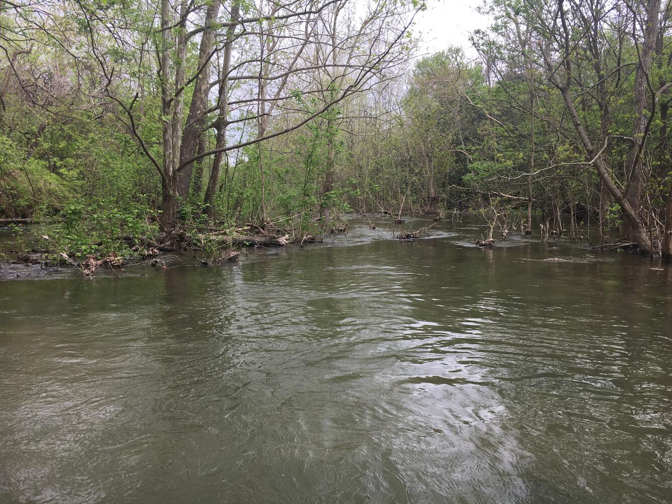 North Fork San Gabriel River