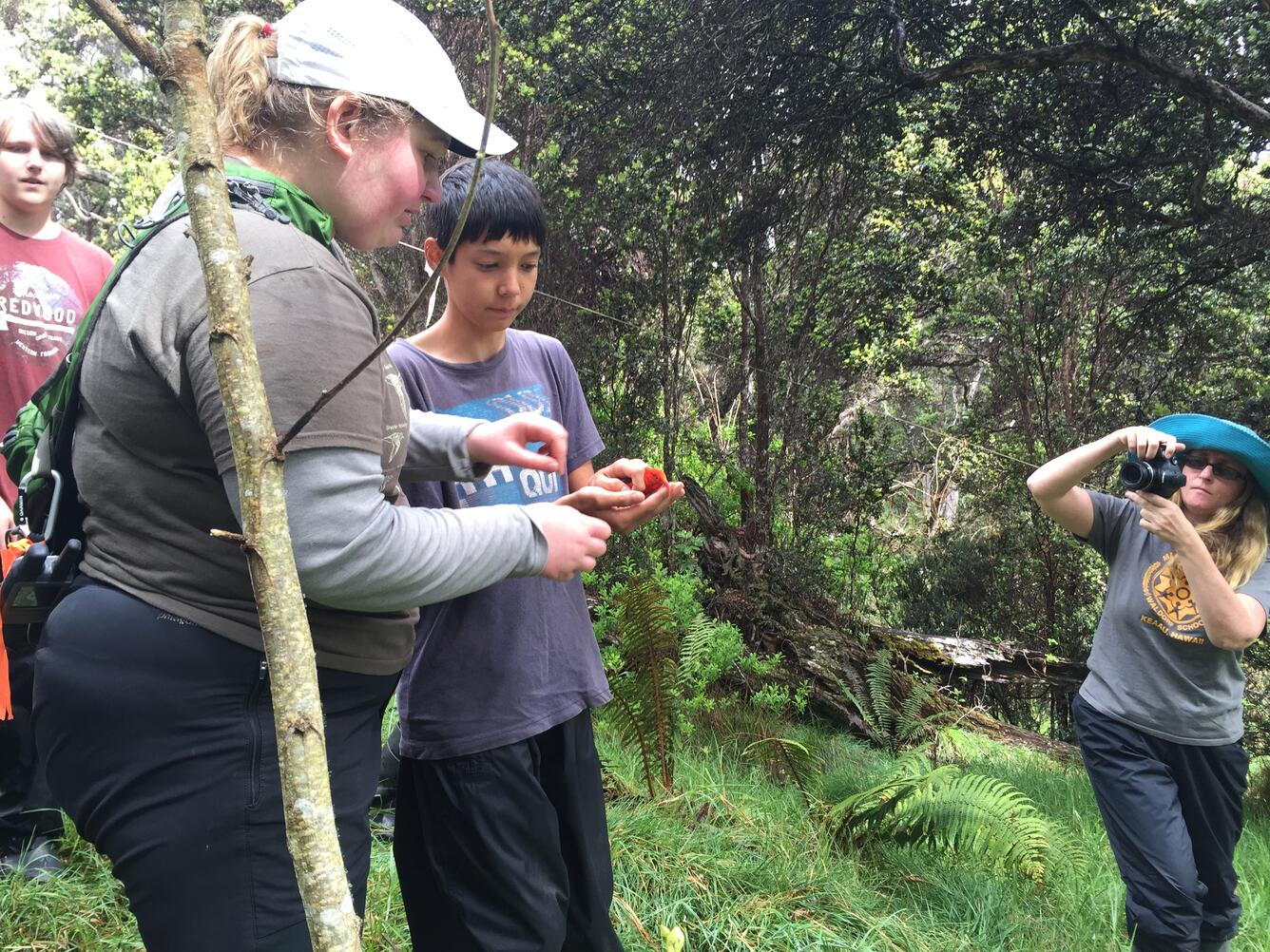 USGS volunteer helps a student release a color-banded bird at Hakalau Forest National Wildlife Refuge