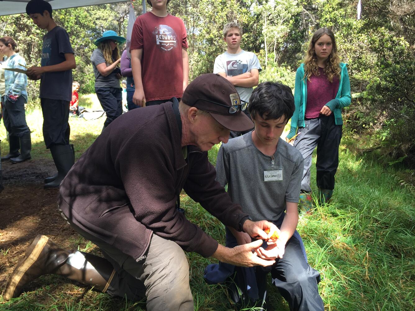 USFWS biologist Steve Kendall helps a student release a newly banded bird at Hakalau Forest National Wildlife Refuge