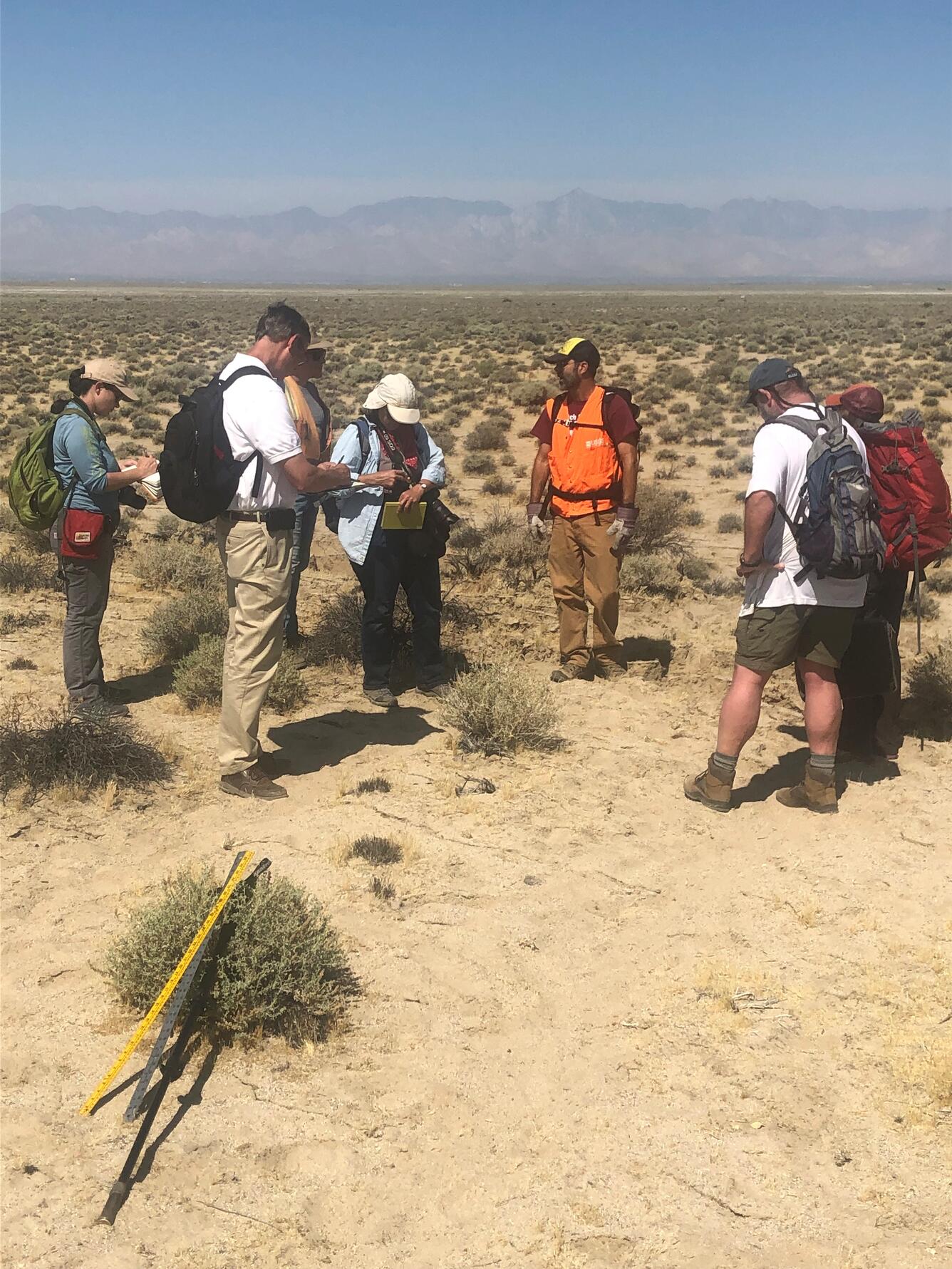 Image shows several people standing on the desert