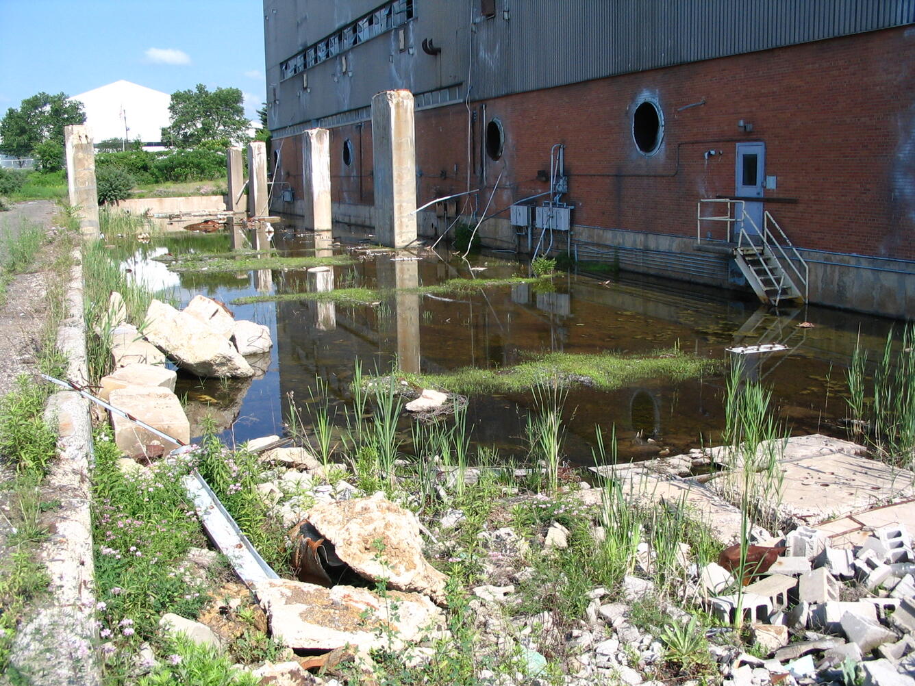 Ephemeral pond at the NAWC site