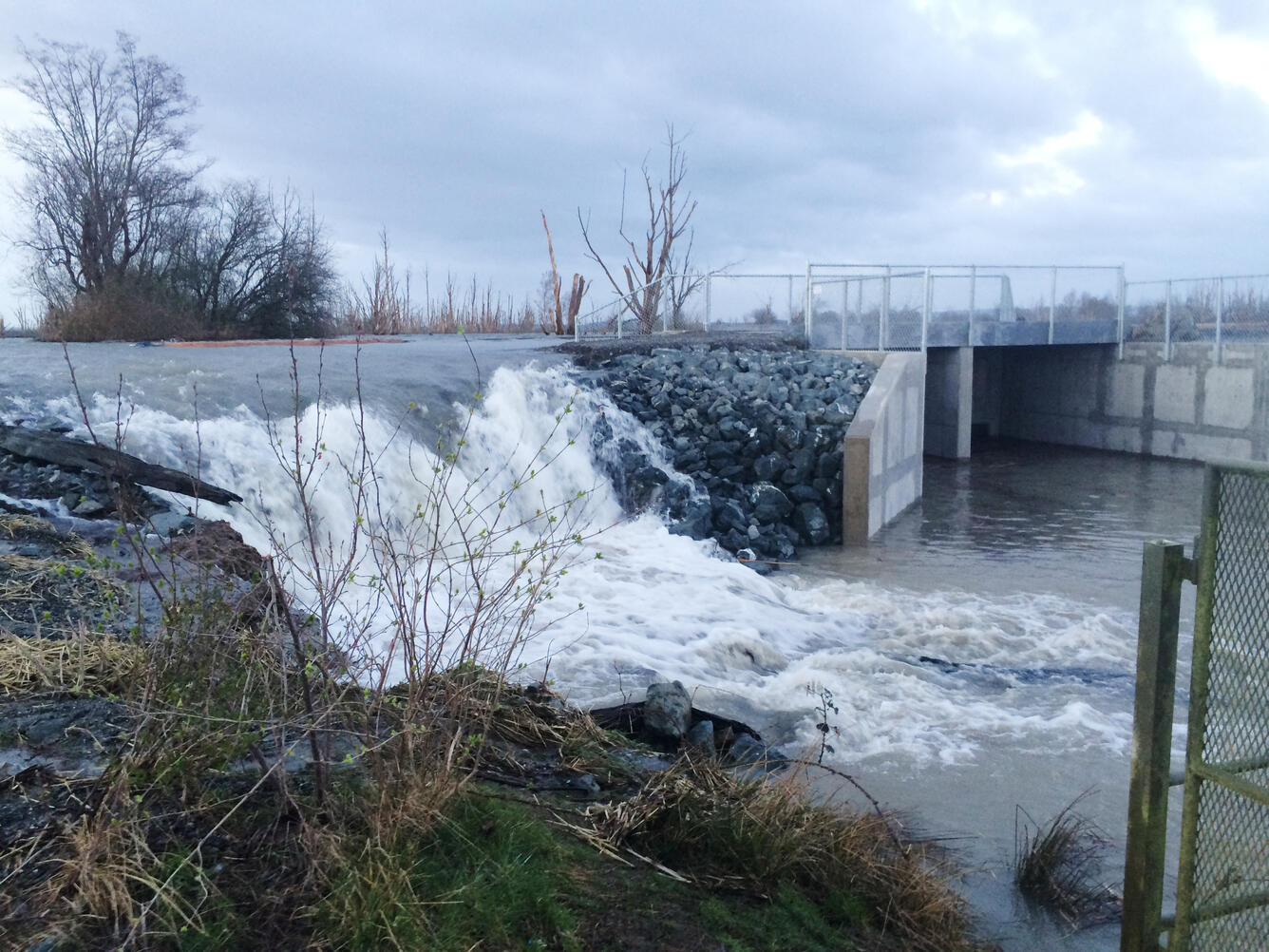 Flooding of Wiley Slough Dike from a 2016 Storm