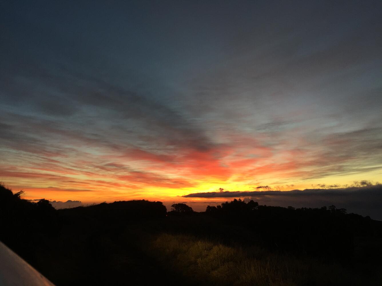 Hakalau sunrise from truck