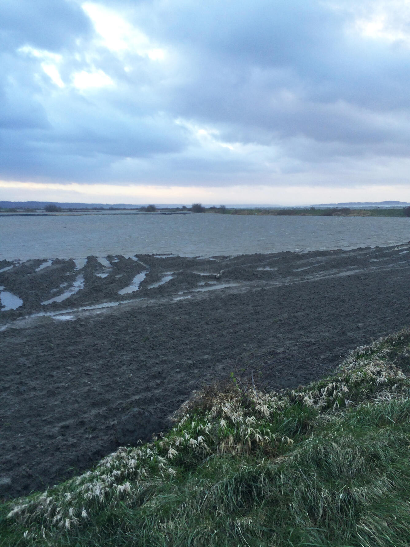 2016 Marine Flooding of Fir Island