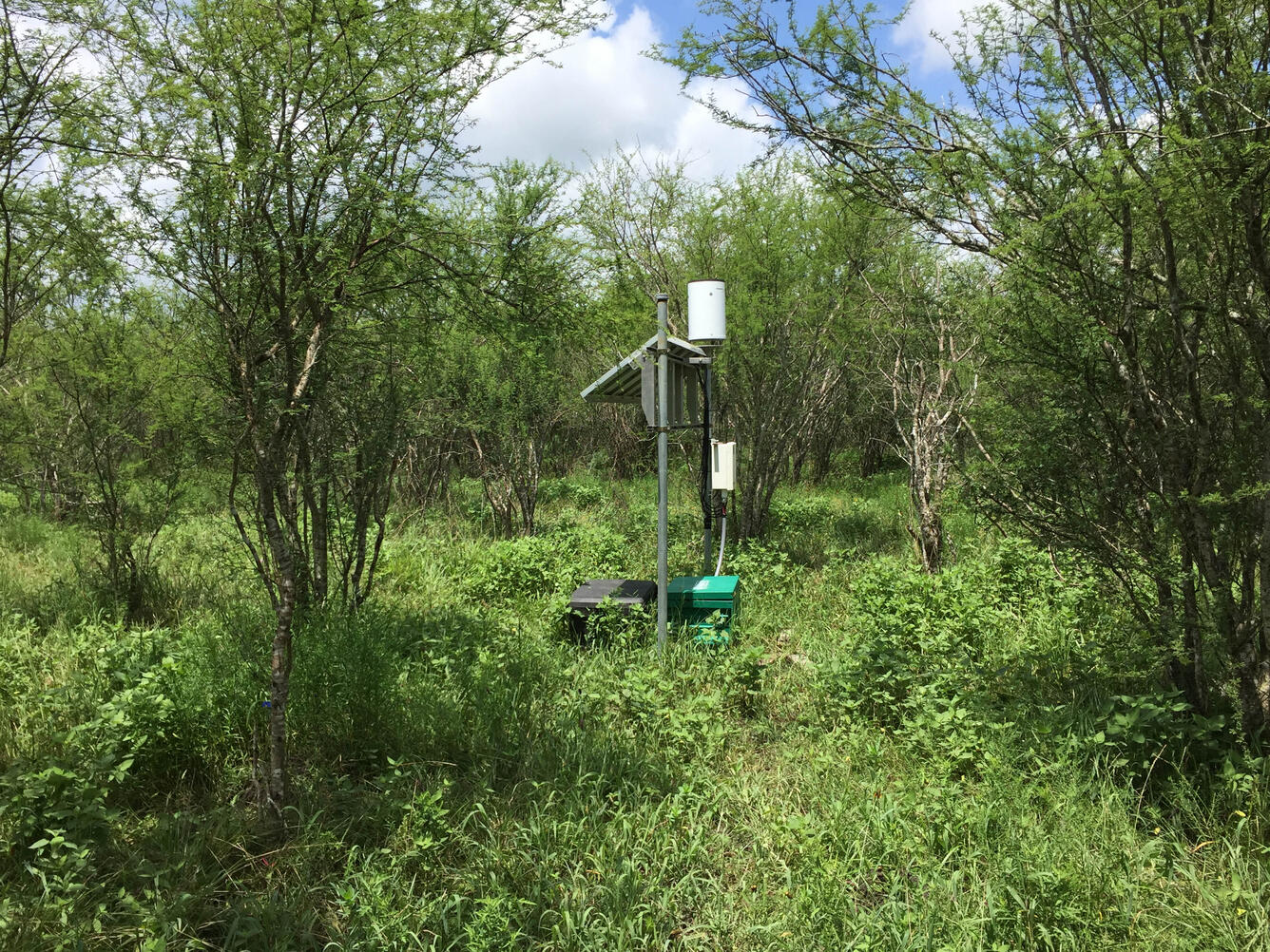 Precipitation gage at Huisache monitoring site