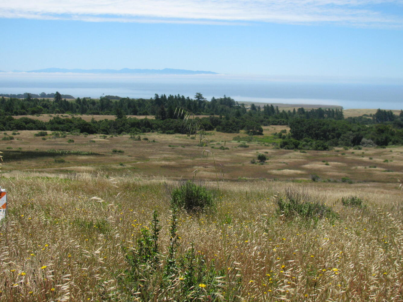 View towards the ocean from a high terrace 