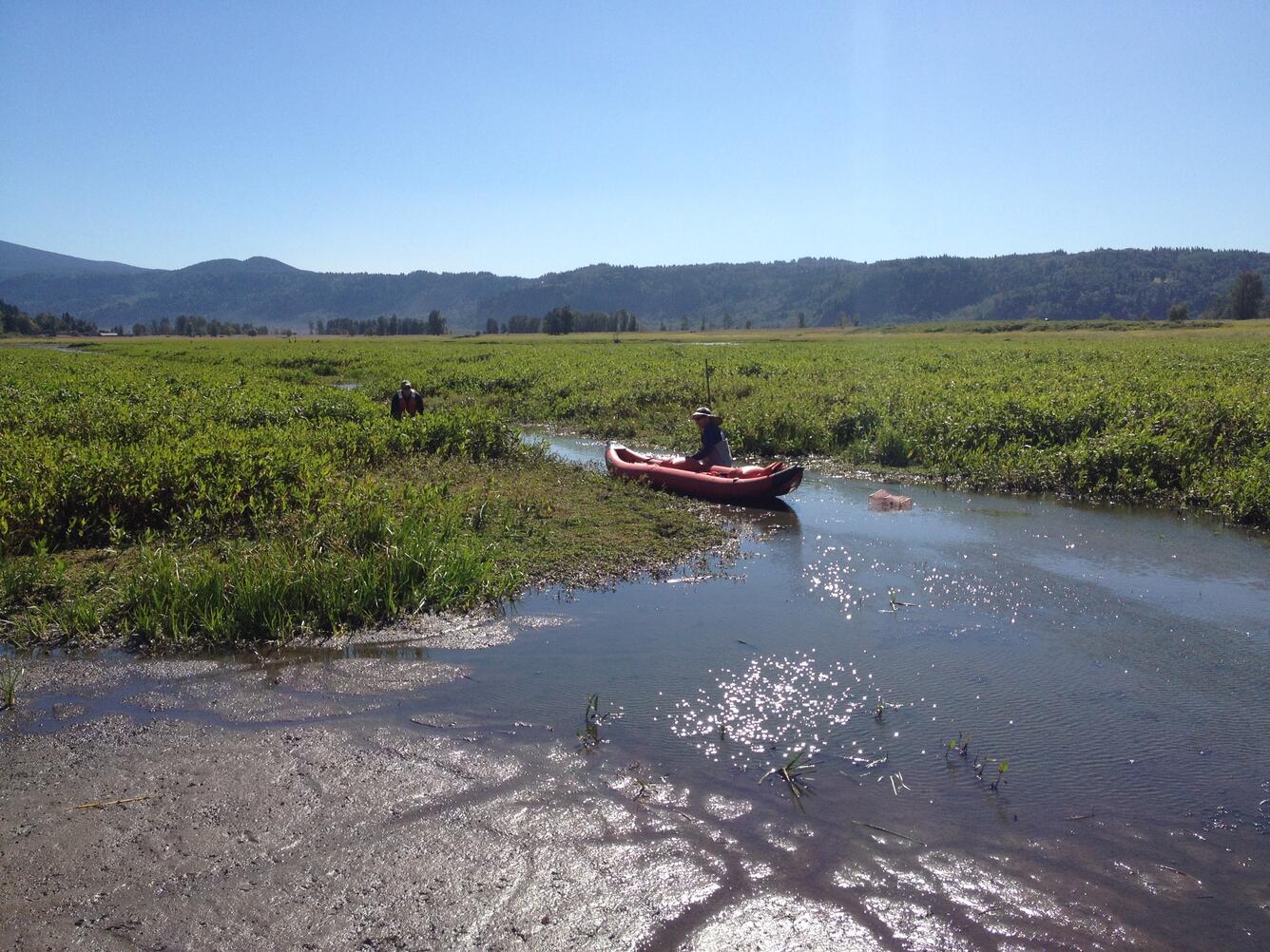 kayak scientist minnow traps