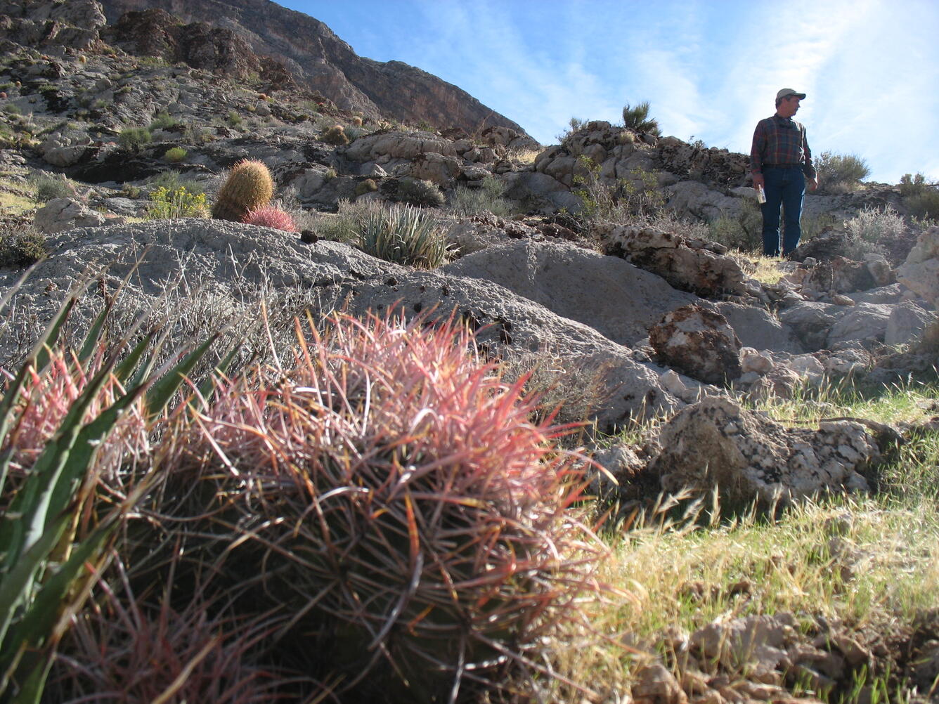 Photo of USGS scientist in the Mojave Desert