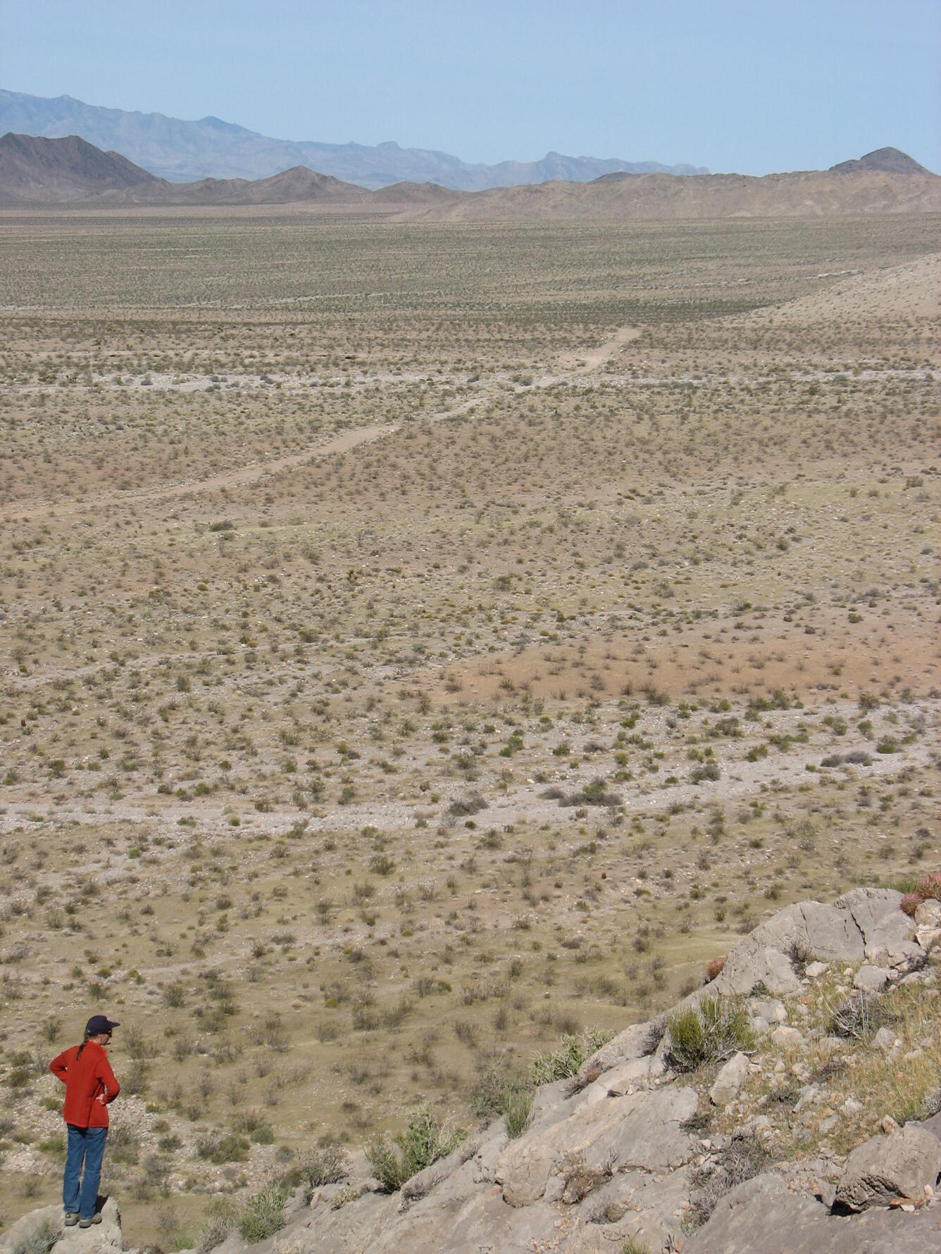 WERC scientist overlooks drylands landscape