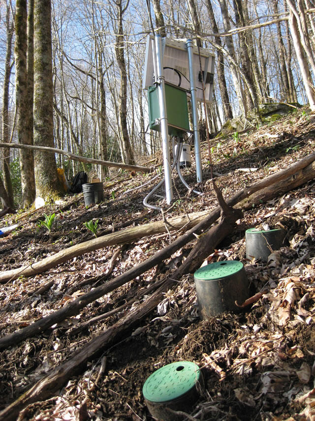 Monitoring station in Coweeta Experimental Forest surrounded by trees on the side of a hill slope